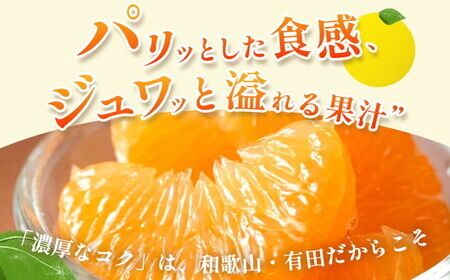 ＜1月より発送＞厳選 はっさく10kg+250g（傷み補償分） ｜ 八朔みかん ハッサク