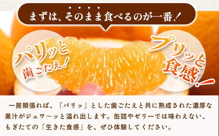 ＜1月より発送＞厳選 はっさく10kg+250g（傷み補償分） ｜ 八朔みかん ハッサク