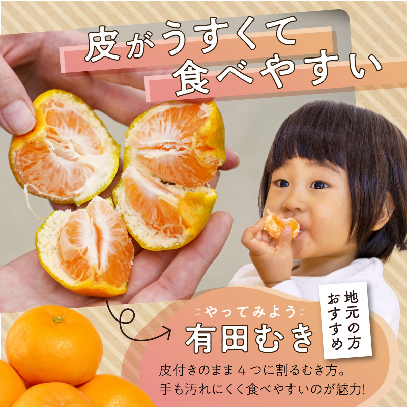 ZE6482_Y_【直営限定】【2026先行予約】有田みかん 1kg 秀品（S～L