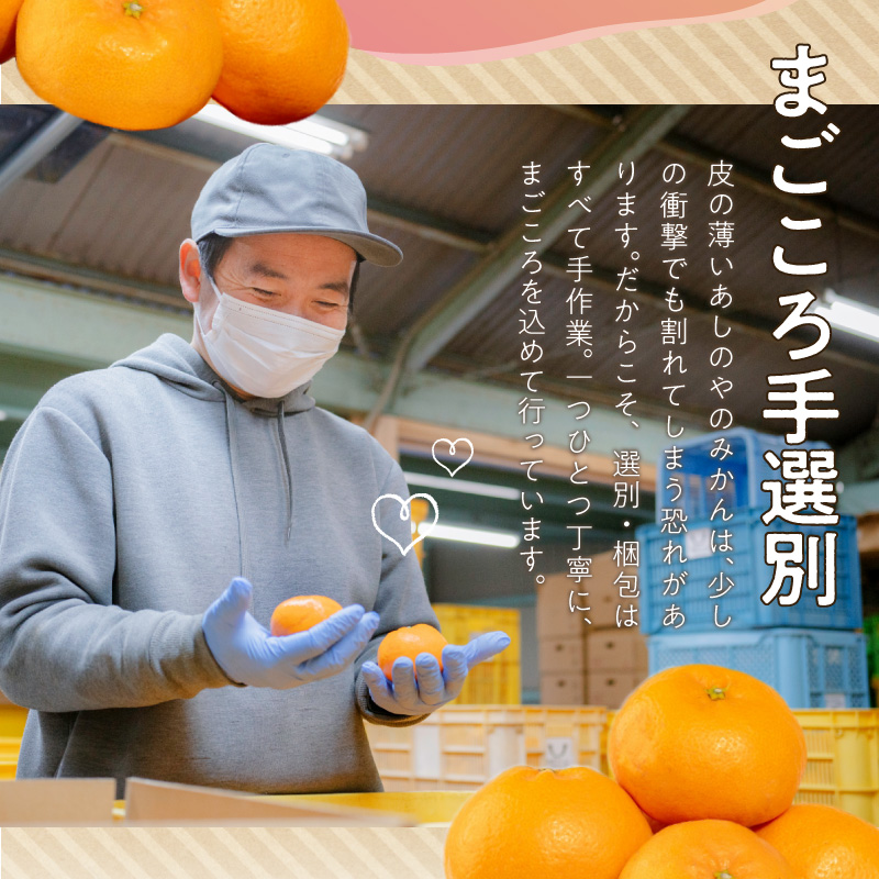 みかん 金星園 特選 熟成みかん 秀品 S-LLサイズ 10kg - 徳島県勝浦町