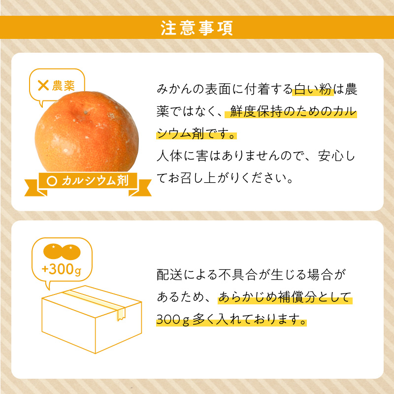 ZE6482_Y_【直営限定】【2026先行予約】有田みかん 1kg 秀品（S～L