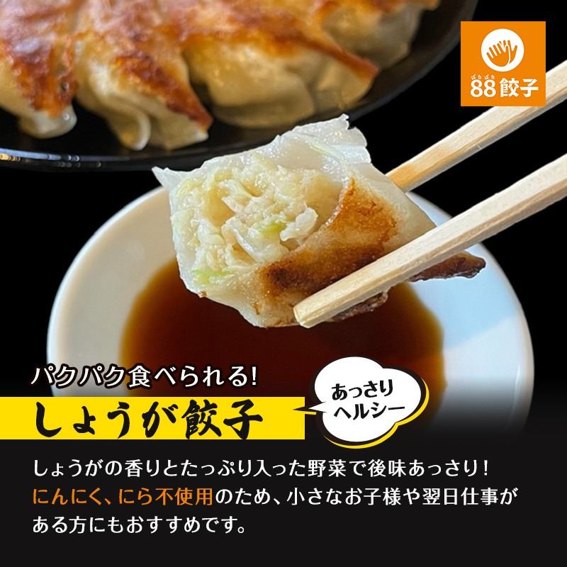 静岡県浜松市のふるさと納税 餃子 浜松 88ぱちぱち餃子 40個 (にんにくあり20個 にんにくなし 20個) セット 浜松餃子 詰め合わせ 国産 冷凍餃子 お試し 食べ比べ 惣菜 おかず 点心 中華 ご当地 ご当地グルメ ニンニク不使用 ギョーザ 冷凍 静岡県浜松市 浜松市 配送不可：離島