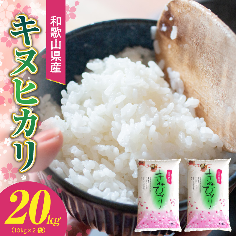 和歌山県産 キヌヒカリ 20kg ( 10kg × 2）2025年産_BB6222 | 和歌山県 