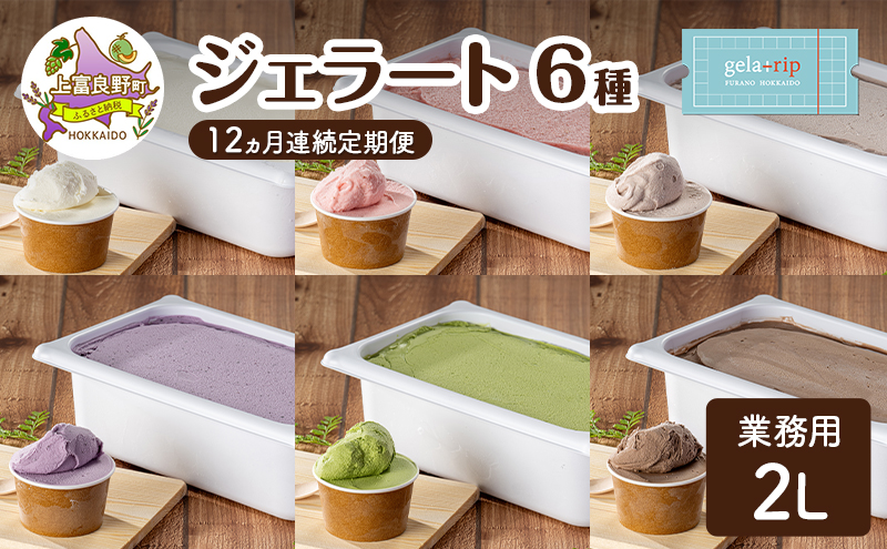 gelatrip's selection ジェラート12個 BOX 北海道 上富良野町 アイス