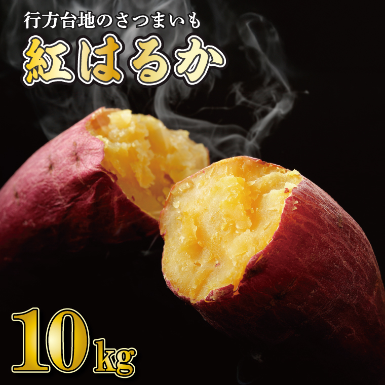 紅はるか訳あり10キロ 紅はるか訳あり10kg 【公式通販】
