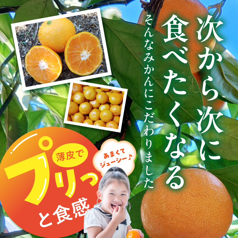 みかん 11月中旬より発送予定】【数量限定】【有機JAS認証付】有田みかん