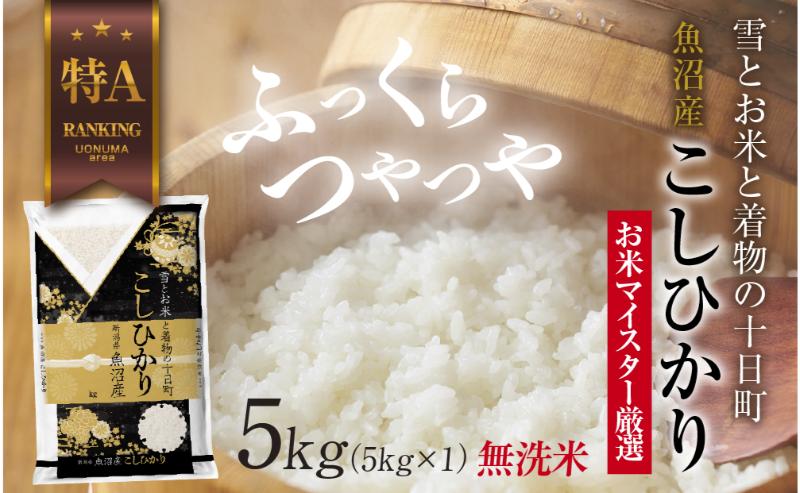 食品 令和7年産 白米 魚沼産 コシヒカリ 10kg(5kg×2) (十日町指定