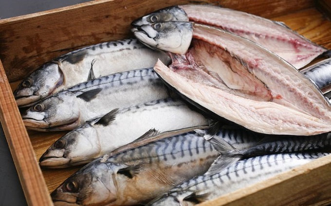 【京都府宮津市】橋立やまいち旨みたっぷりふっくら自慢の塩サバ 魚貝類 加工食品 鯖 さば 冷凍 冷蔵