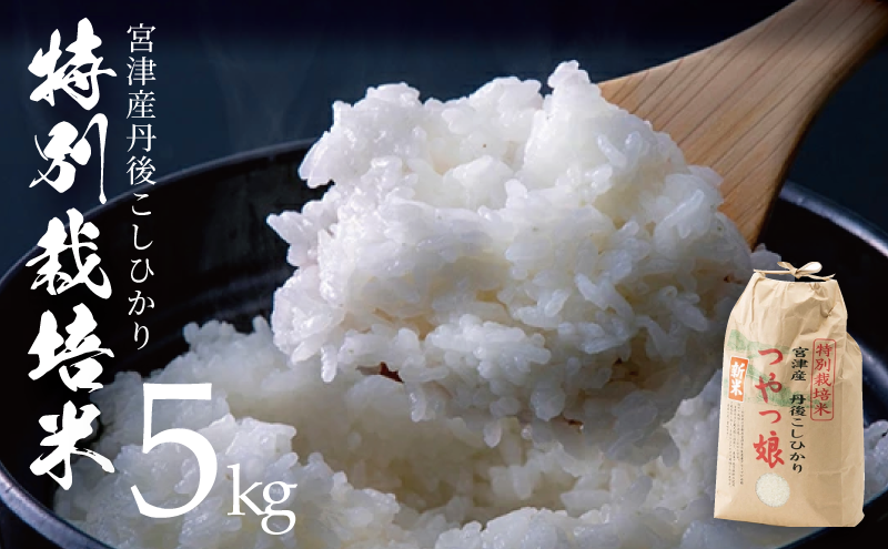 【令和7年産】【新米/産地直送】特別栽培米 宮津産丹後コシヒカリ「つやっ娘」5kg 〈2025年10月以降順次発送〉 お米