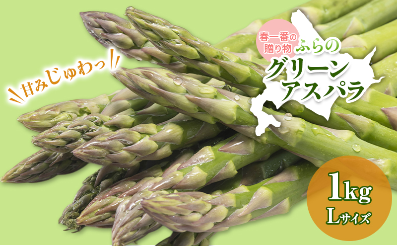 令和8年産】アスパラガス グリーンアスパラ 1.5kg Lサイズ アスパラ