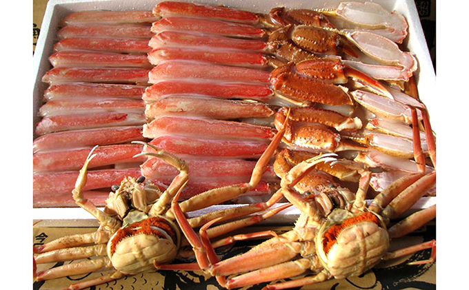 オス・メス揃いで仲良し贅沢 カニ三昧セット ずわい蟹 ずわいガニ ズワイガニ 蟹 