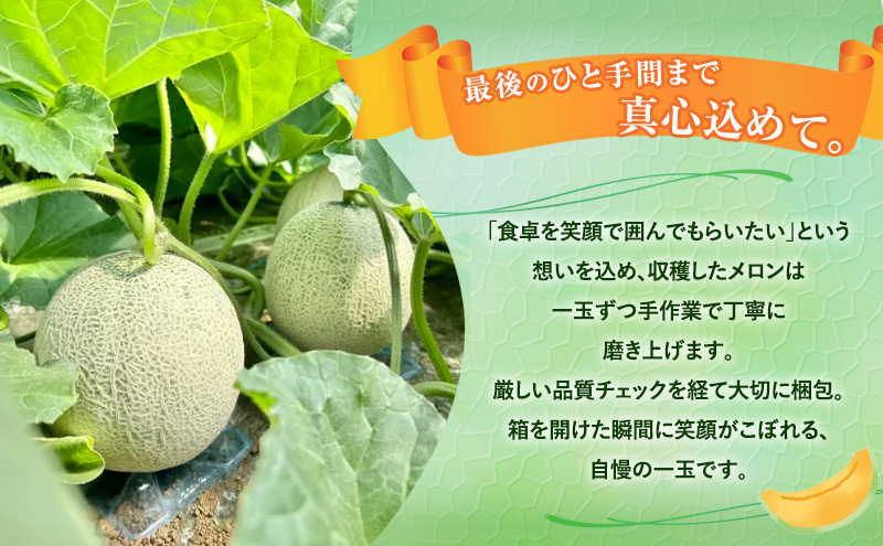 令和8年産】富良野 高糖度 赤肉メロン 1玉 約1.8kg ～ 2.3kg うっちー