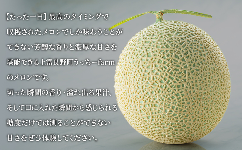 令和8年産】富良野 高糖度 赤肉メロン 1玉 約1.8kg ～ 2.3kg うっちー