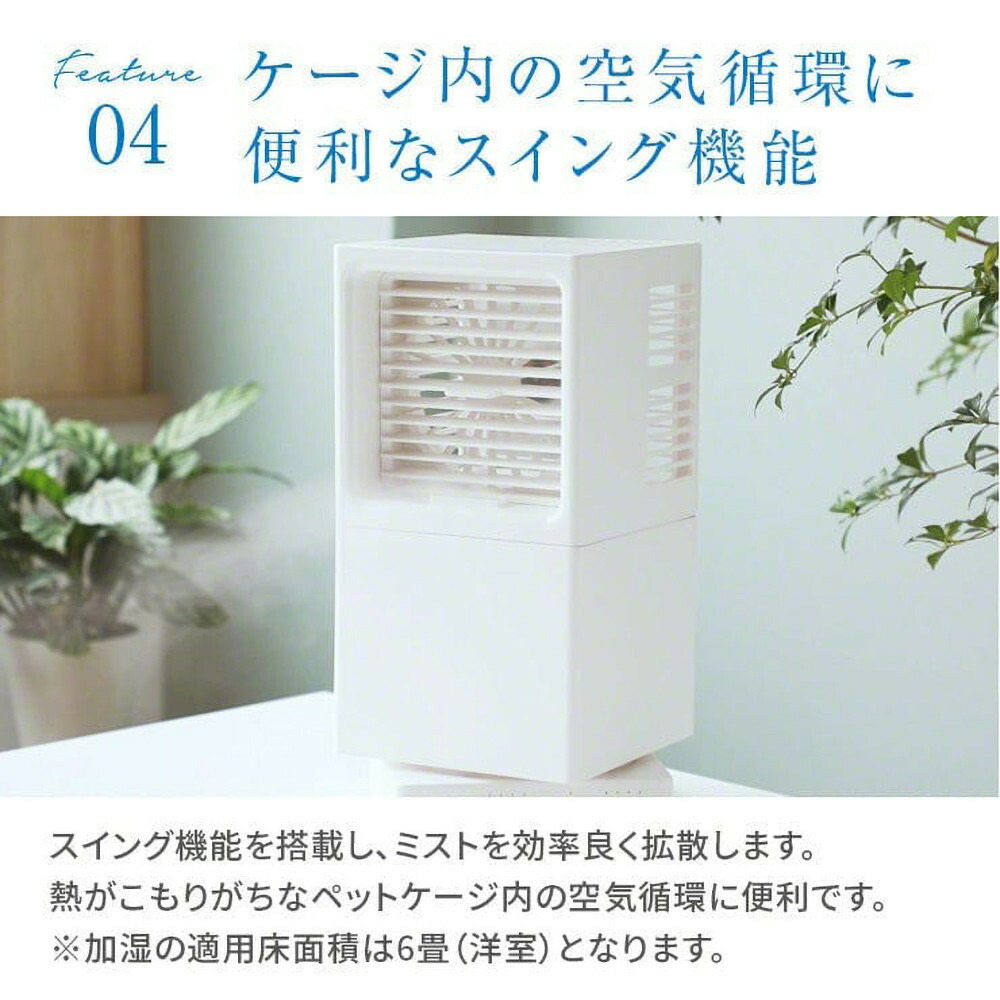 Return Gift Image