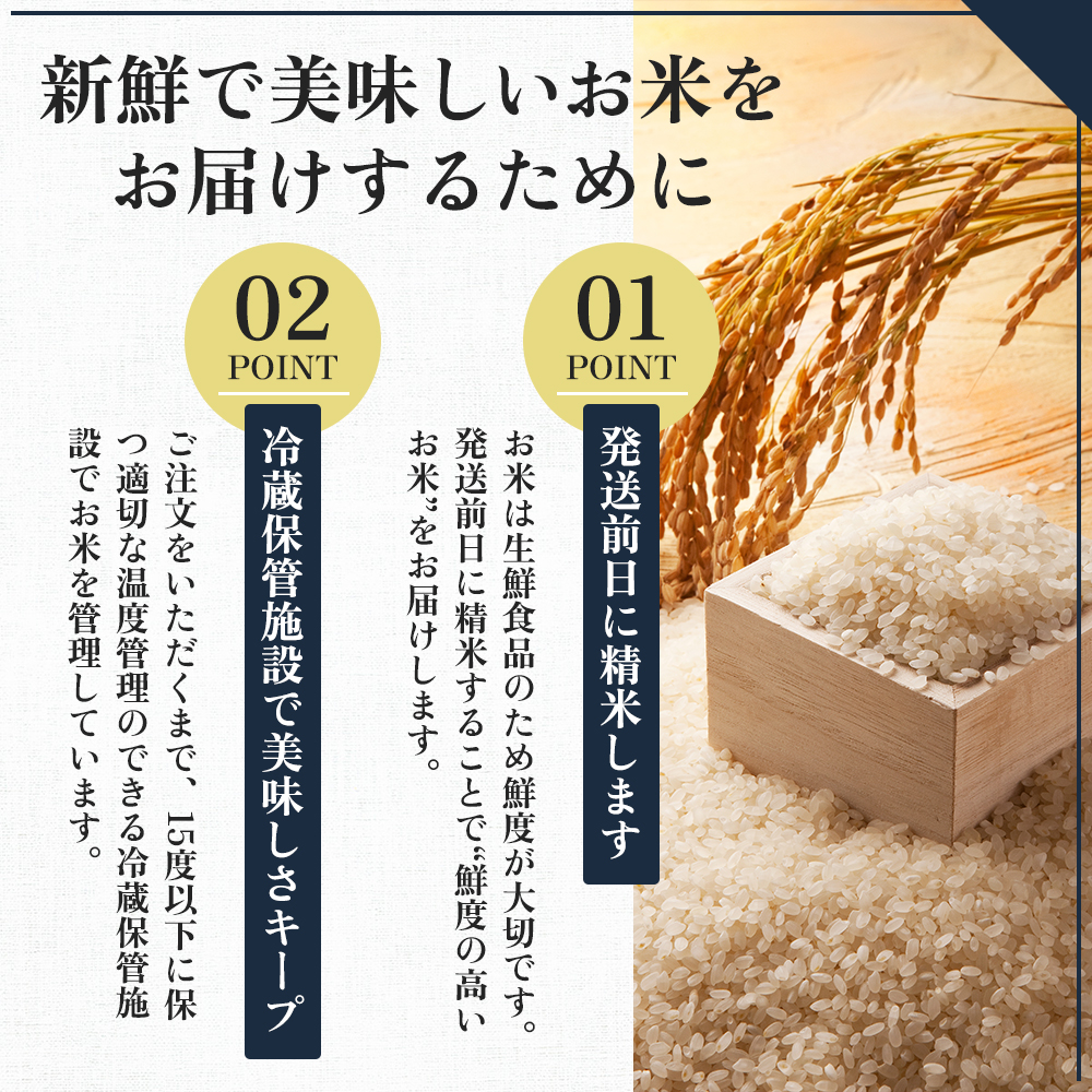 先行予約】令和8年産 新之助20kg(5kg×4袋) | とおかMATCH【新潟県 