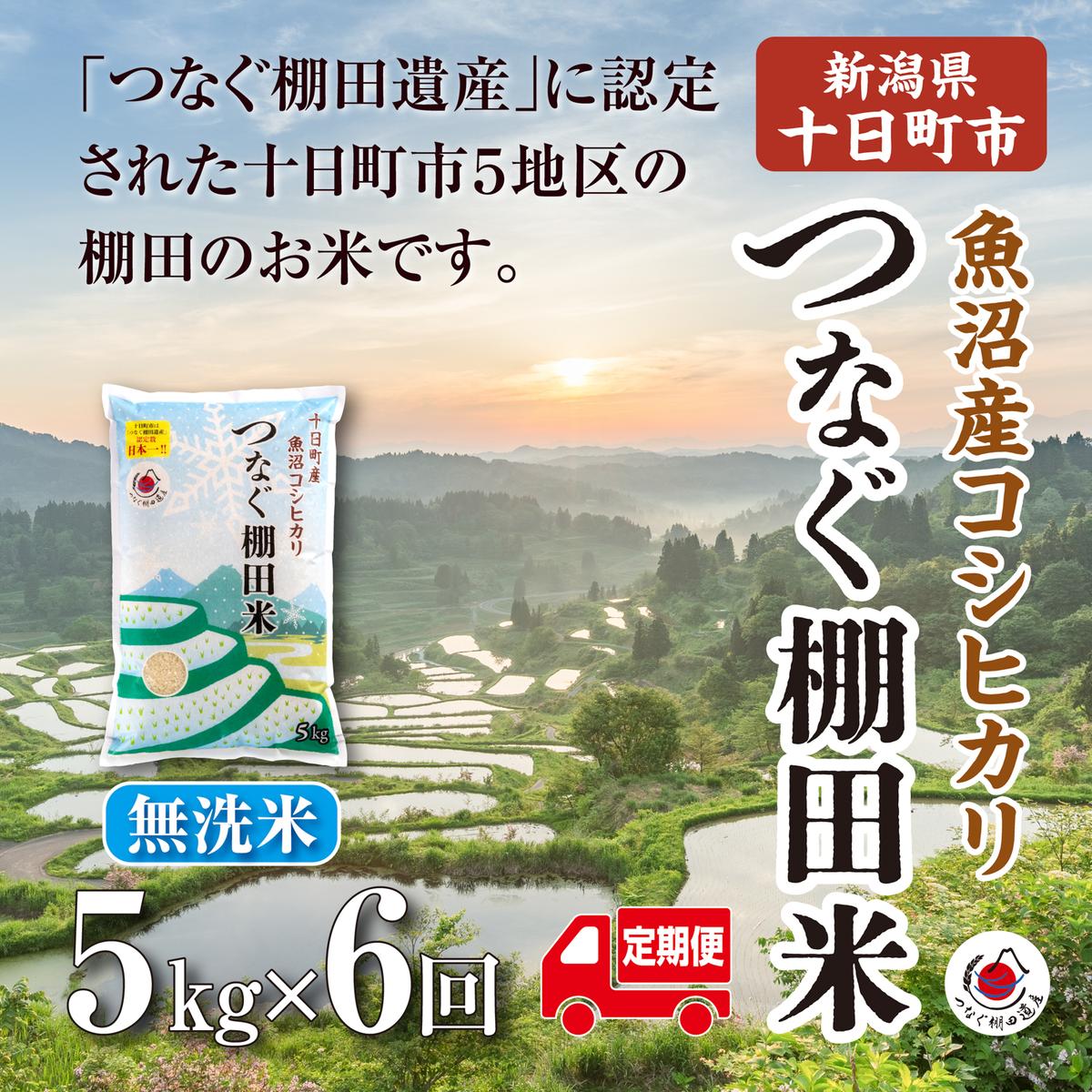 令和8年産 先行予約】【定期便／全6回】無洗米5kg 新潟県十日町市魚沼
