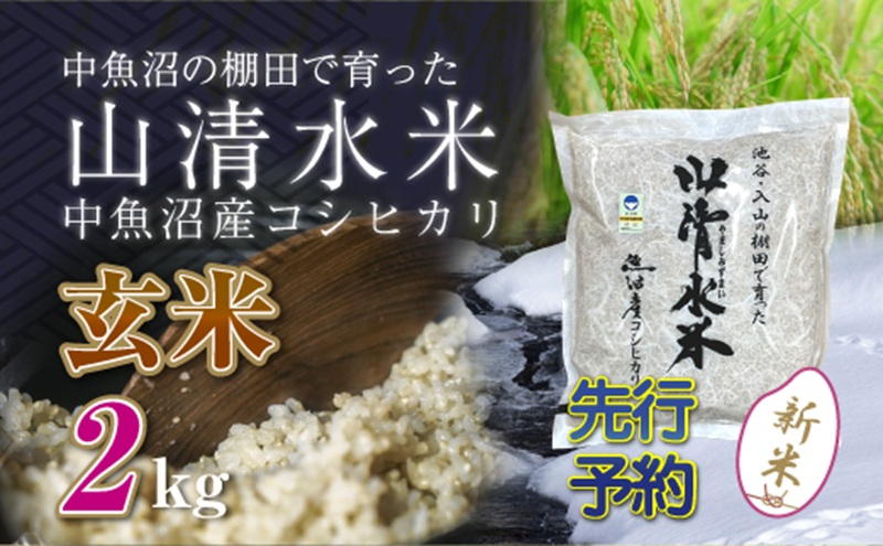 新潟県魚沼産こしひかり10Kg（精米） 米 コシヒカリ 精米 新潟県