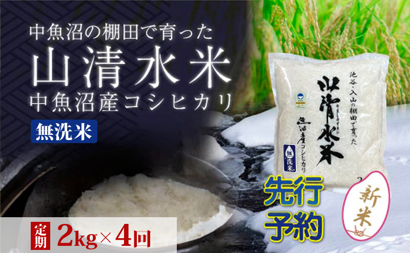 令和8年産 先行予約】【定期便／全4回】無洗米2kg 新潟県魚沼産