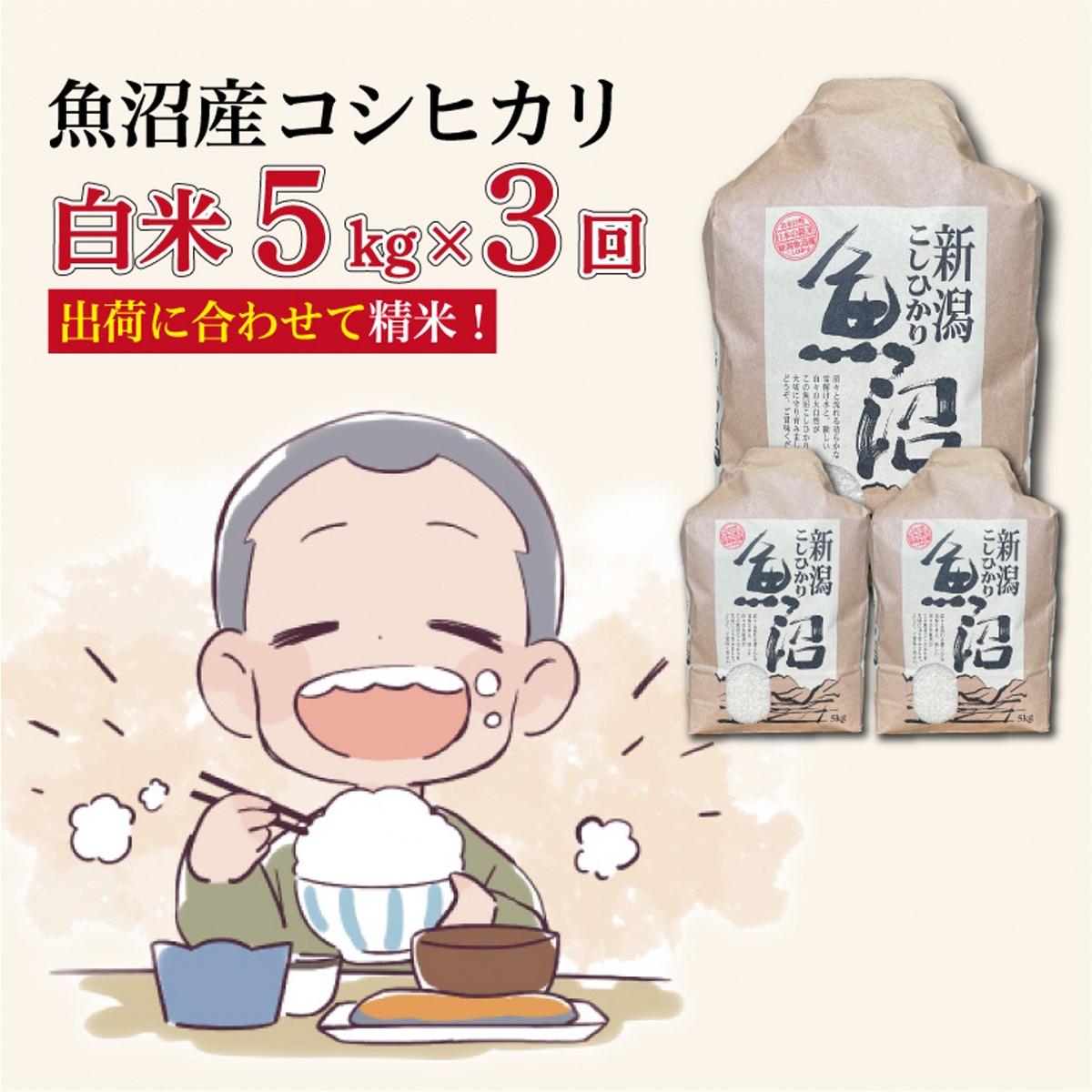 3か月定期便】令和8年産新米 魚沼産コシヒカリ 精米5kg×3回 計15kg