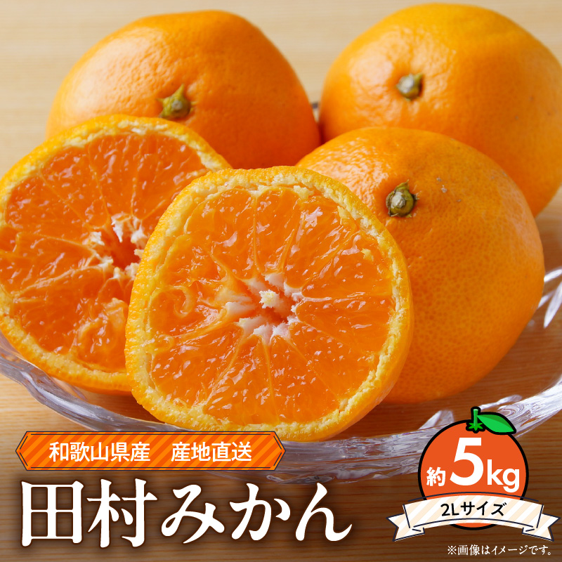 ZE6345n_Y_【2026年先行予約】和歌山 湯浅町産 田村みかん 約5kg【2L