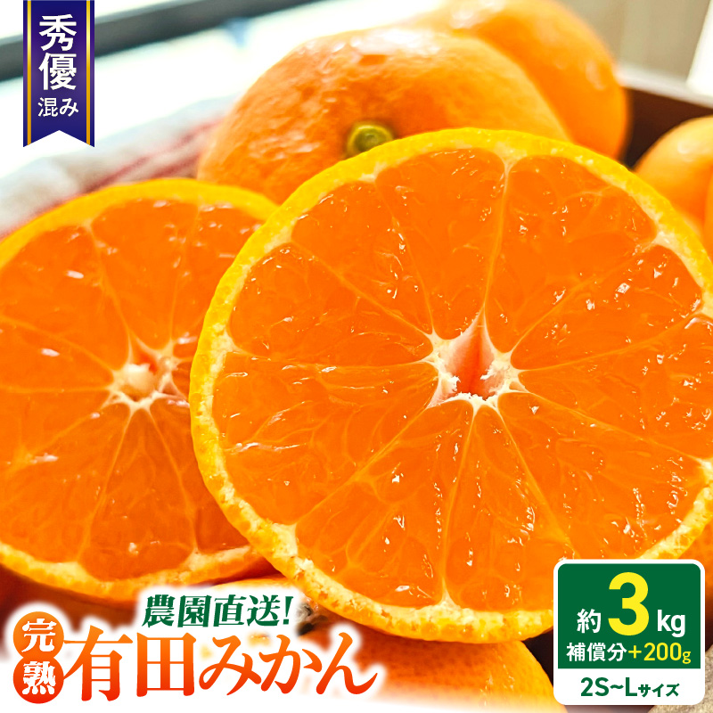 AB7345_Y_01_【直営限定】【2026年先行予約】1月発送 農園直送!完熟