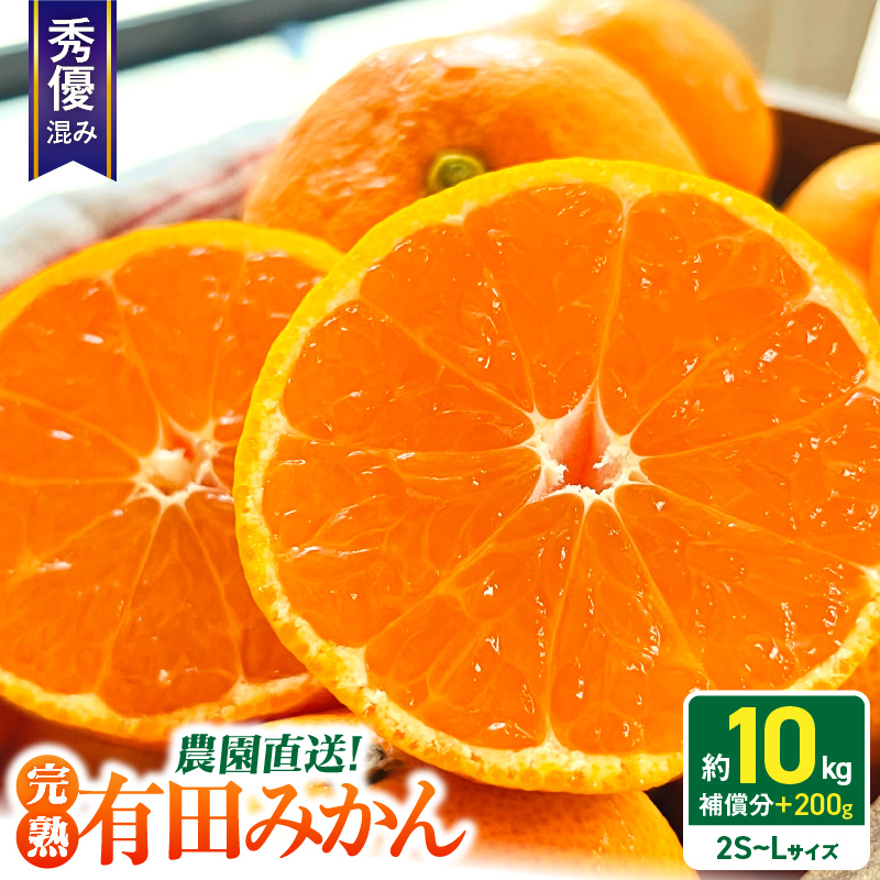 AB7347_Y_11_【直営限定】【2026年先行予約】11月発送 農園直送!完熟