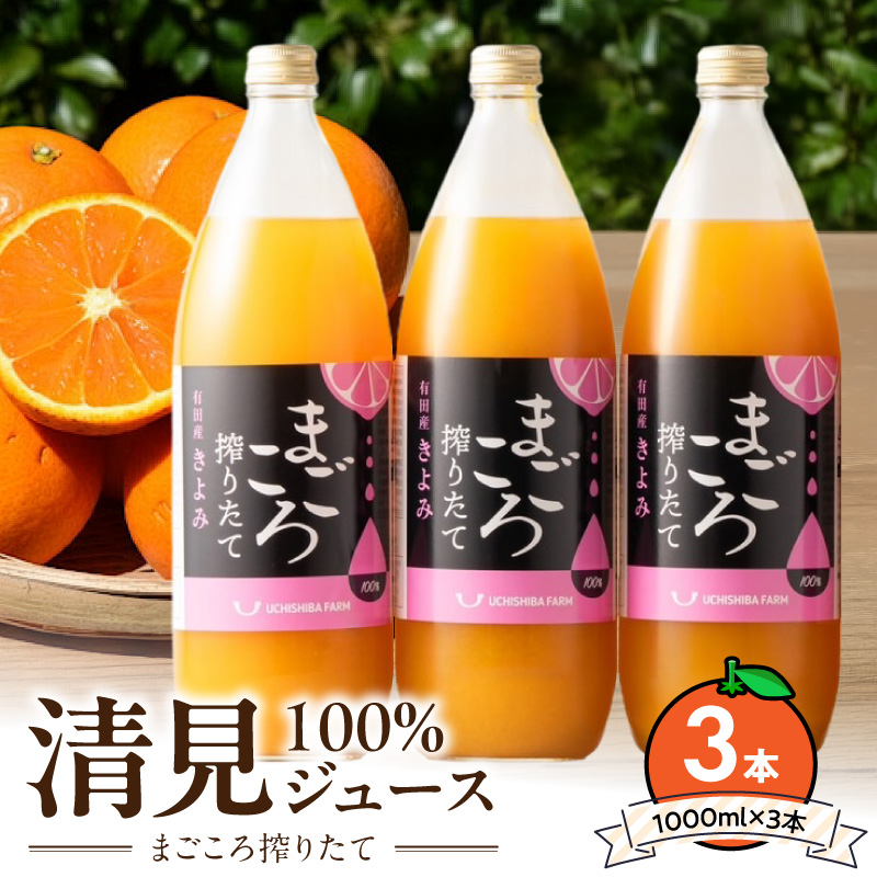 ZE6522_Y_【直営限定】【まごころ搾りたて】清見100%ジュース 1000ml×3