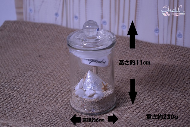 シェルランプ　【Welcome】 雑貨 日用品 インテリア 貝殻のランプ 灯り 手づくり 