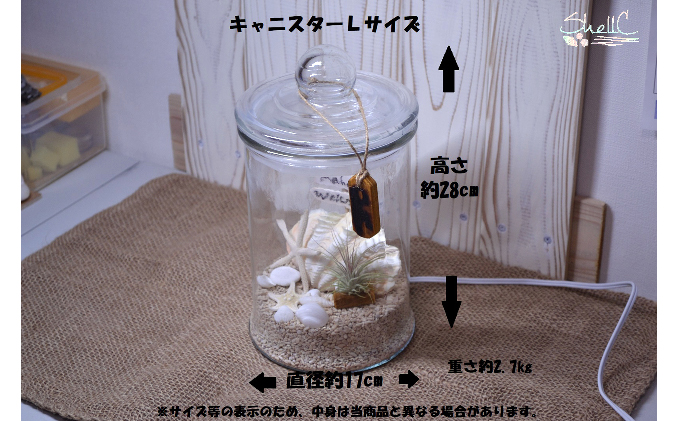 超大型 シャコガイ 貝殻 ディスプレイ インテリア 置物 オブジェ 約