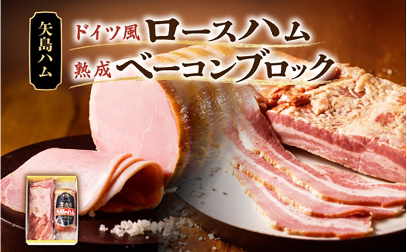 y_ސ쌧szn x[R Zbg  1{  hCc  [Xn n x[R ubN  Y   ؓ  n \[Z[W  ܂  Ε 蕨   n  _ސ쌧 s