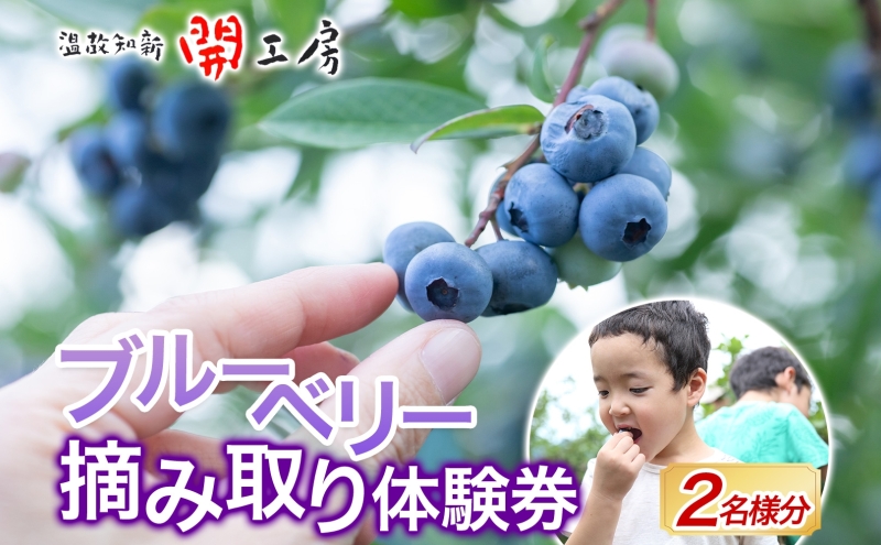 y_ސ쌧szu[x[_ Eݎ茔 n z {t͔|   W o^[ nY  VN  Xvbh Z  ̒mV JH[ _ ʎ Eݎ n _  Hp ̂ꂽĒH  _ސ쌧 s