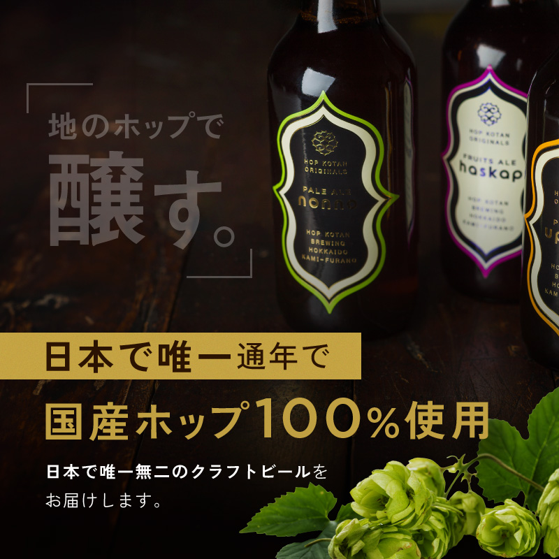 12ヵ月連続定期便 クラフトビール HOP KOTAN 定番ビール 24本 セット