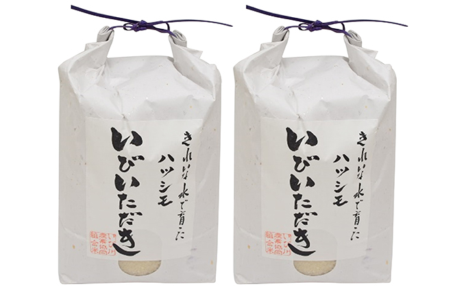 ＪＡいび川プレミアム米「いびいただき」/白米6kg お米 