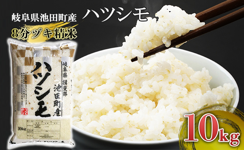 新米ハツシモ　10キロ ハツシモ はつしも 寿司米 大粒 岐阜県産 10kg 令和6年産 白米