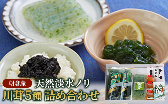 【福岡県朝倉市】のり 海苔 珍味 川茸の詰め合わせ 5種 遠藤金川堂 淡水海苔 天然 高級天然淡水ノリ 加工食品