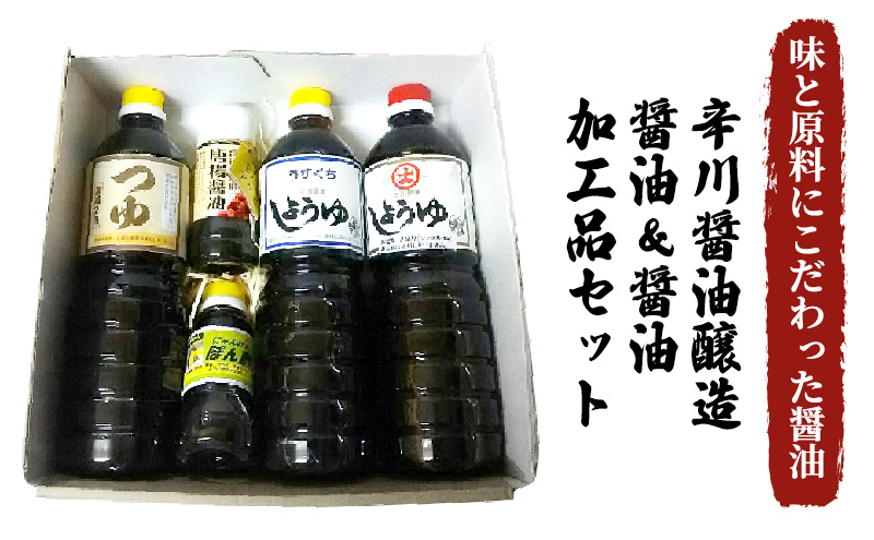 醤油 醤油加工品 セット 5種 薄口 濃口 しょうゆ つゆ ポン酢 辛川醤油醸造 