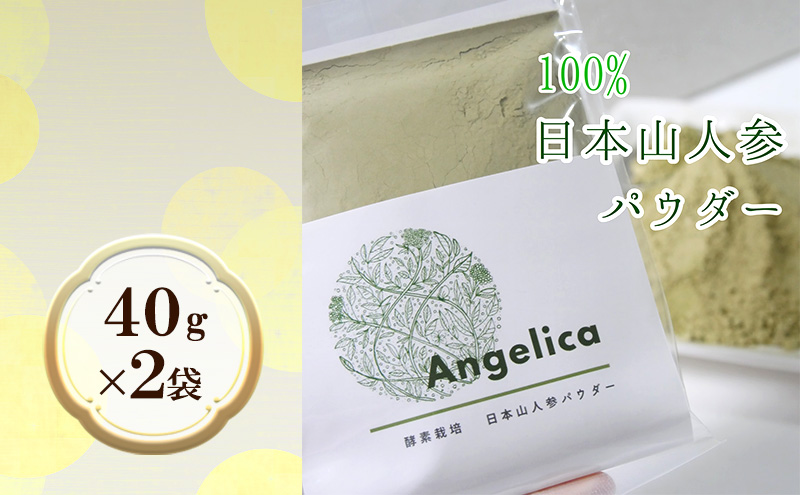 yqsz󏭁{RlQitƌs̕j 2   /lQ