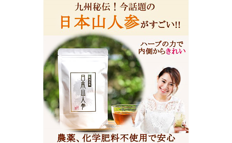 ふるさと納税・★希少★日本山人参茶＆パウダーで健康に！ティーバッグ30包×2袋・パウダー40g×3袋・農薬不使用・飲料類・お茶・野菜・人参・抹茶・ヨーグルト・ハーブの力・化学肥料不使用
