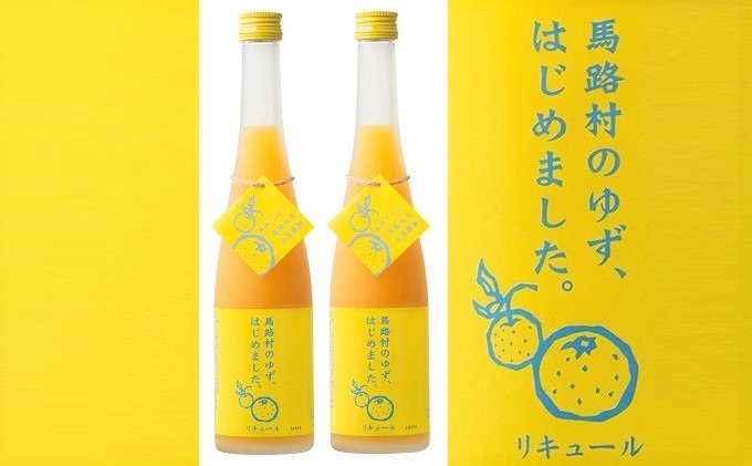 ゆず梅酒　500ml×2本　＜篠崎＞ お酒 洋酒 リキュール類 