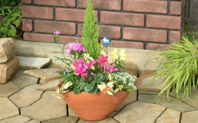 可愛いお花畑の寄せ植え（Mサイズ） 