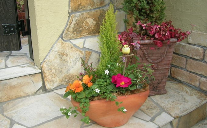 可愛いお花畑の寄せ植え（Mサイズ） 