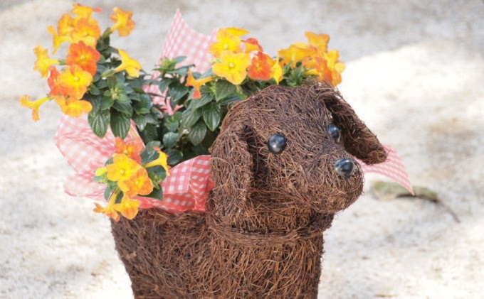 チビわんこのフラワーバスケット（1匹） 植物 