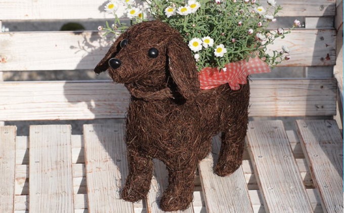 チビわんこのフラワーバスケット（1匹） 植物 