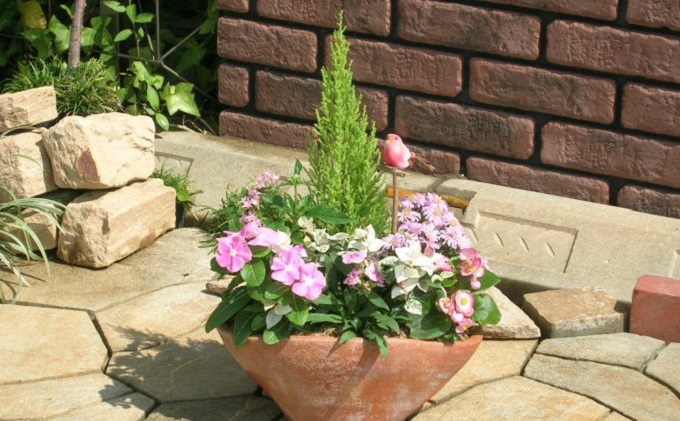 可愛いお花畑の寄せ植え（Mサイズ） 