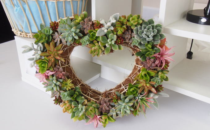 多肉 寄せ植え 可愛いハートの多肉植物 植物 インテリア ガーデン 