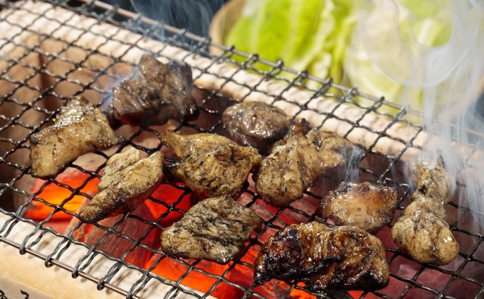 福岡県朝倉市のふるさと納税 はかた地どり炭火焼セット お肉 鶏肉 加工品 惣菜 冷凍