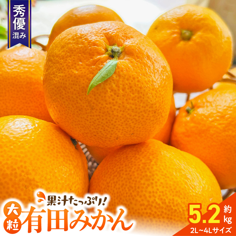 206)数量限定 甘すぎる 有田みかん 果物 みかん 小玉 旬 【冬ギフト