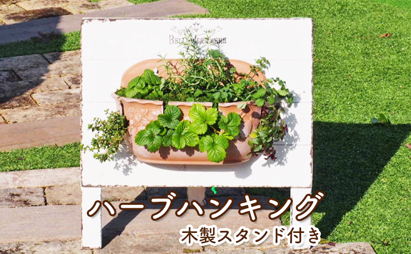 植物 ハーブのハンキング 木製スタンド付き ハーブ インテリア ガーデン 