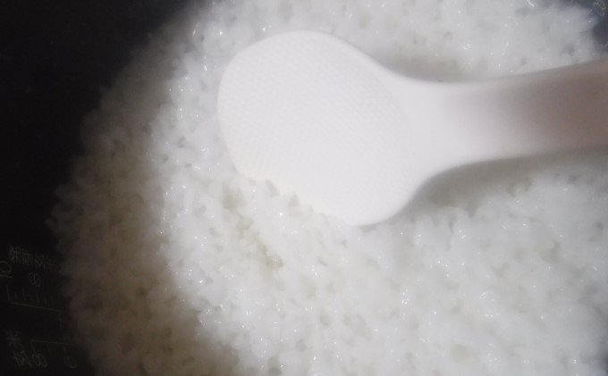 米 10kg 季節野菜 セット 精米 ゆめつくし お米 詰合せ 