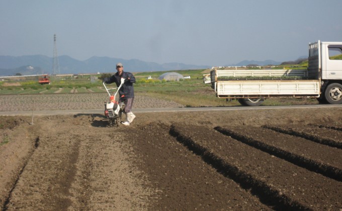 米 5kg 季節野菜 セット 精米 ゆめつくし お米 詰合せ 